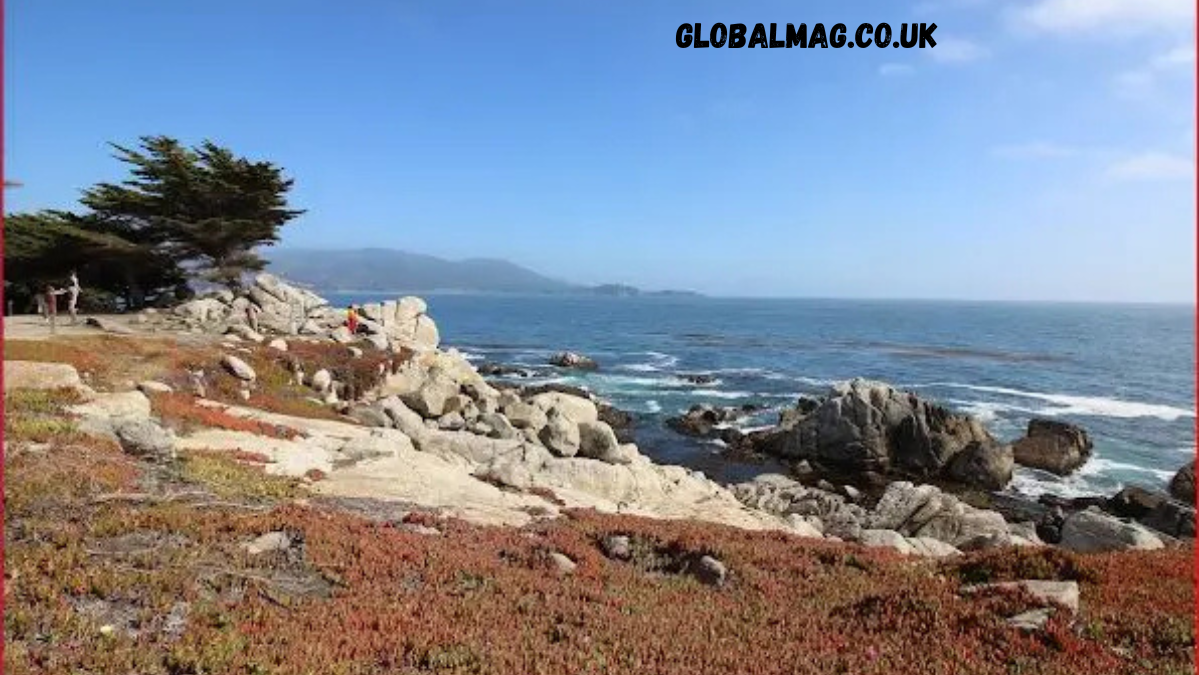 Glass Pebble Beach Florida