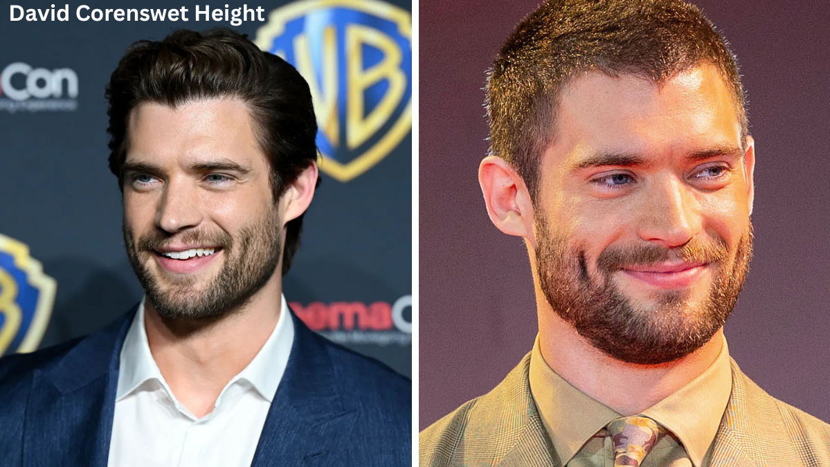 David Corenswet Height David Corenswet Height